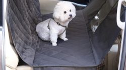 Pet Car Seat Cover for Ultimate Pet Travel Comfort
