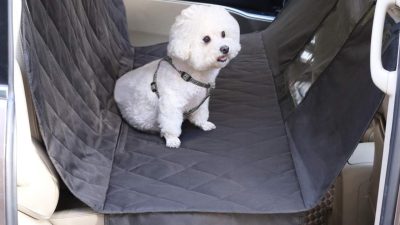 Pet Car Seat Cover for Ultimate Pet Travel Comfort
