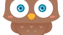 Best camera stores in the United States for every photographer