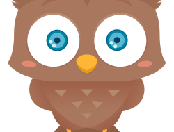 Best camera stores in the United States for every photographer