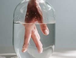 Wet Cat Food Deals That Your Cat Will Love