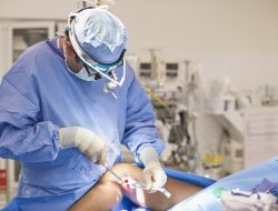 Orthopedic dog bed for ultimate comfort and support