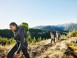 Outdoor fireplace and oven the perfect outdoor setup