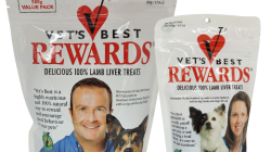 Best micro four thirds cameras deals for photography enthusiasts Best micro four thirds cameras deals for photography enthusiasts