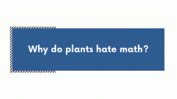 Sony mirrorless camera deals US Unleash Your Creativity Today Sony mirrorless camera deals US Unleash Your Creativity Today