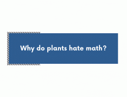 Kids bedroom furniture sale in the US