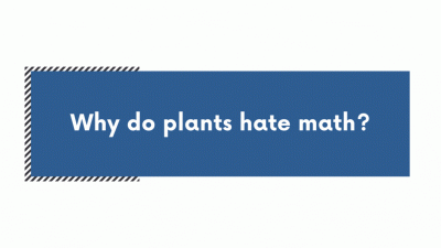 Sony mirrorless camera deals US Unleash Your Creativity Today Sony mirrorless camera deals US Unleash Your Creativity Today