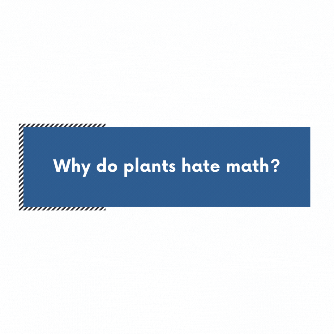 Sony mirrorless camera deals US Unleash Your Creativity Today