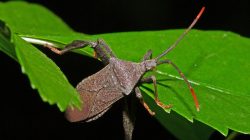 travis mathew travel pants Stylish Comfort for Every Journey travis mathew travel pants Stylish Comfort for Every Journey