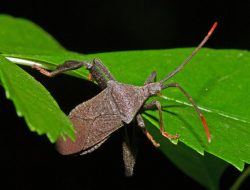 travis mathew travel pants Stylish Comfort for Every Journey