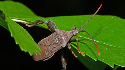 travis mathew travel pants Stylish Comfort for Every Journey travis mathew travel pants Stylish Comfort for Every Journey