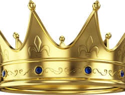 Crown appliance excellence for modern homes