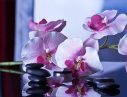 Massage travel to me for ultimate relaxation