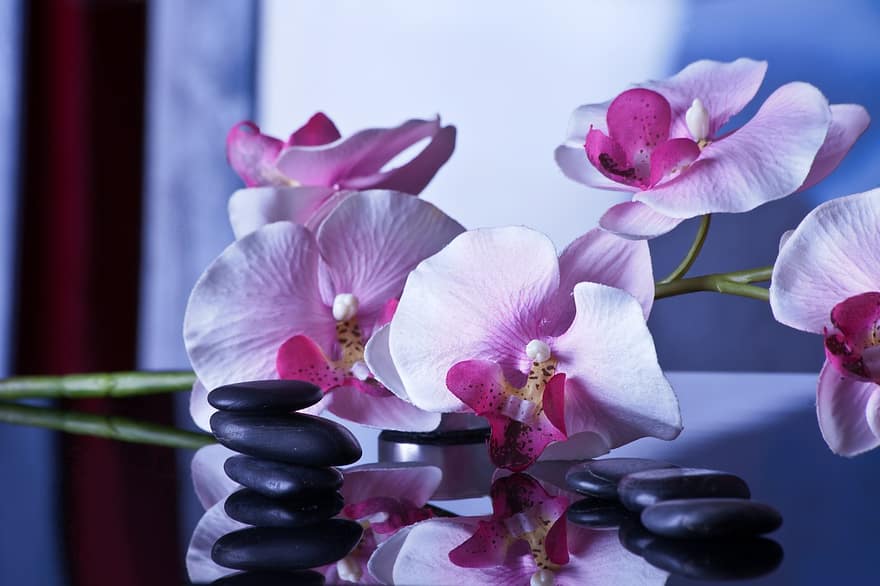 Massage travel to me