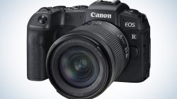 Affordable mirrorless cameras for beginners made easy