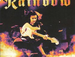 Best Pet Care Products That Ensure Your Pets Happiness