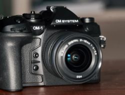 OM System OM-1 Mark II Reviewing the Best Micro Four Thirds Camera for Outdoors