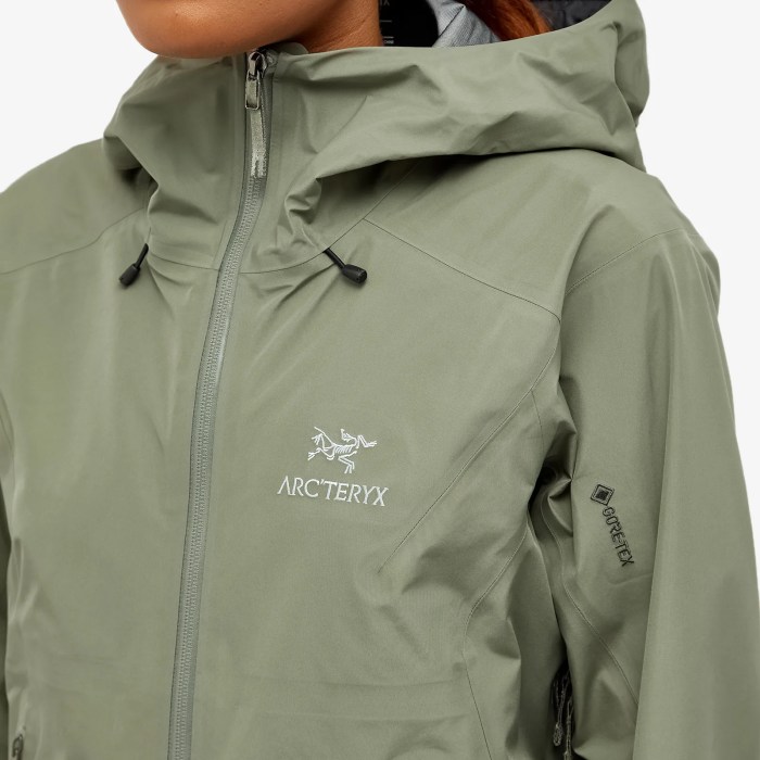 Arcteryx Beta LT Jacket Testing the High-Performance GORE-TEX Shell