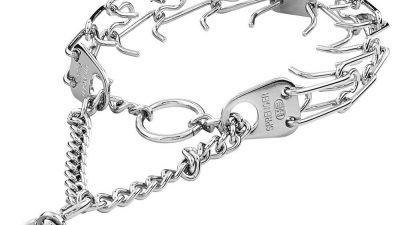 Sprenger Ultra-Plus Reviewing the Training Prong Collar with Center Plate