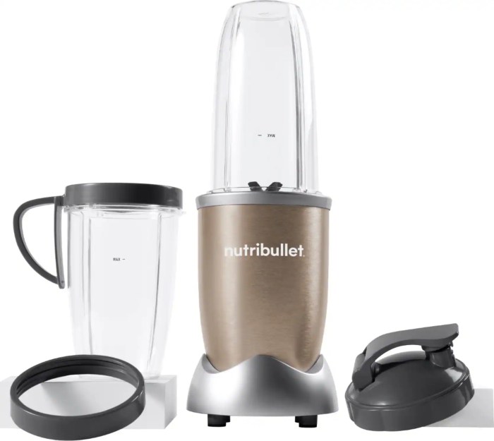 NutriBullet Pro 900 Watt Blender The Essential Daily Smoothie Maker