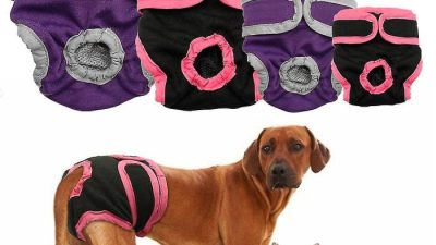 Simple Solution Fashion Print Diapers Reviewing Washable Female Dog Wraps