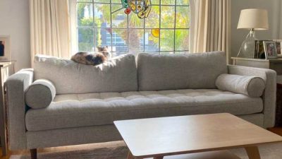 Article Sven Velvet Sofa Testing the Durability of Luxury Mid-Century Seating