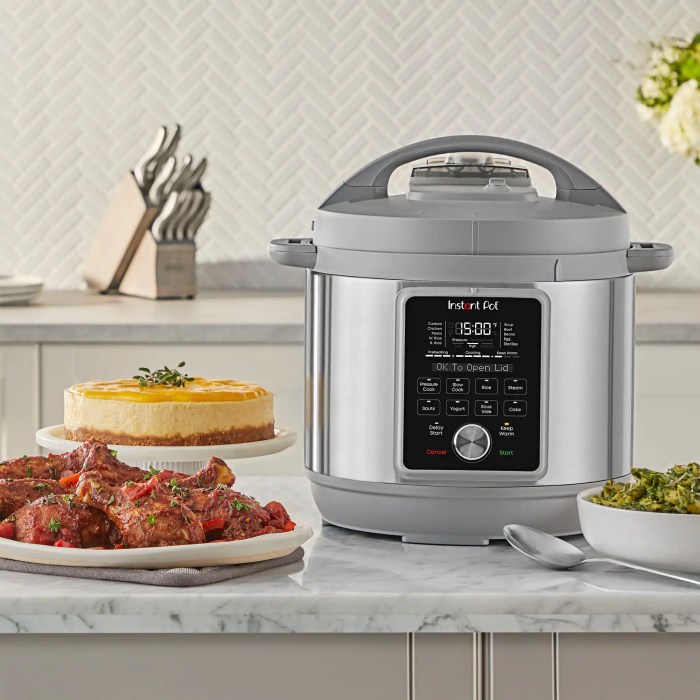 Instant Pot Duo Plus 9-in-1 Multi-Cooker Is It Still the King