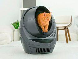 Litter-Robot Step Reviewing the Accessory for Better Litter Box Access