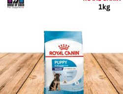 Royal Canin Size Health Nutrition A Review of Puppy Dry Dog Food