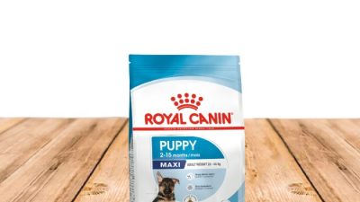 Royal Canin Size Health Nutrition A Review of Puppy Dry Dog Food