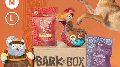 MabyBox Monthly Cat Subscription Testing Interactive Toys
