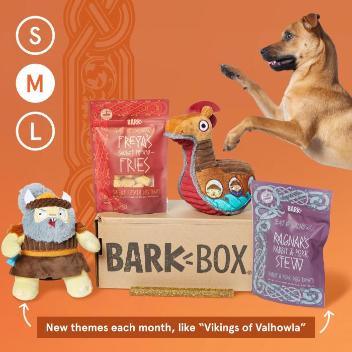 MabyBox Monthly Cat Subscription Testing Interactive Toys