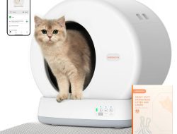 Meowant Self-Cleaning Litter Box Testing the Safety Sensor Performance