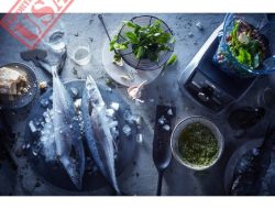 Vitami A3500 Ascent Series Blender The Powerhouse Smoothies Need