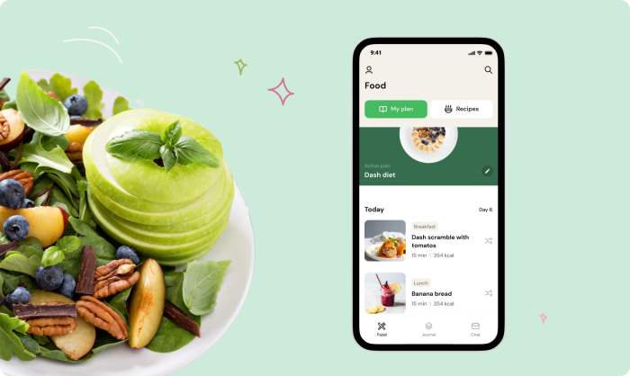 Dogness Smart Feeder Testing the Integrated Camera and App Meal Plan