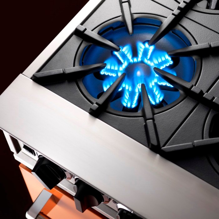 BlueStar RNB Series Heritage Gas Range Customization and Heat