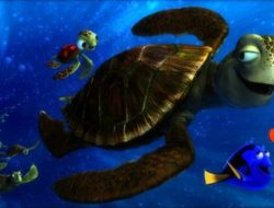 Nemo Disco 15 Sleeping Bag Evaluating Spoon-Shape Comfort