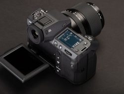 Fujifilm GFX 100 II Testing the Medium Format Mirrorless Speed and Detail Performance