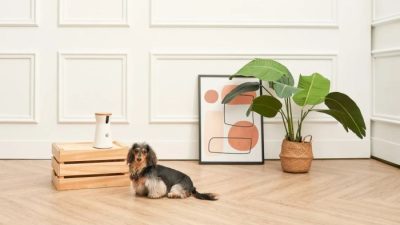 Furbo 360° Dog Camera Reviewing the Best Treat-Tossing AI Monitor