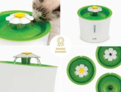 Catit Flower Fountain Testing the Triple Action Filtration Water Station