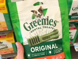 Greenies Original Dental Treats Review for Plaque-Free Dogs