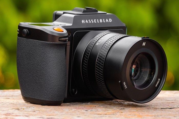 Hasselblad X2D 100C A Review of the Worlds Most Beautiful Medium Format Imaging