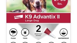 Frontline Plus Reviewing the Monthly Flea and Tick Topical Treatment