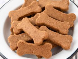 Buddy Biscuits Oven Baked A Review of the Crunchy Molasses Dog Treats