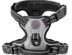 Wild One Everyday Harness Reviewing the Minimalist Aesthetic and Durability