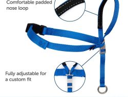 PetSafe Gentle Leader Headcollar Testing the Best Solution for No-Pull Walking