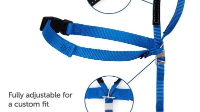PetSafe Gentle Leader Headcollar Testing the Best Solution for No-Pull Walking