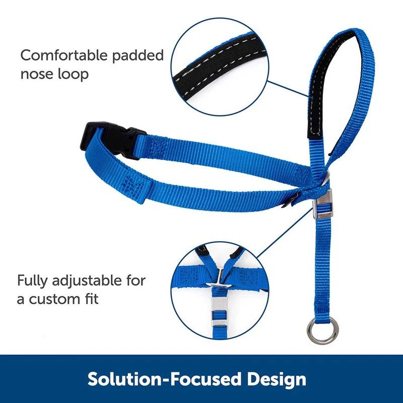 PetSafe Gentle Leader Headcollar Testing the Best Solution for No-Pull Walking