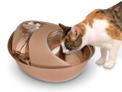 Pioneer Pet Raindrop Testing the Stainless Steel Circulating Water Fountain