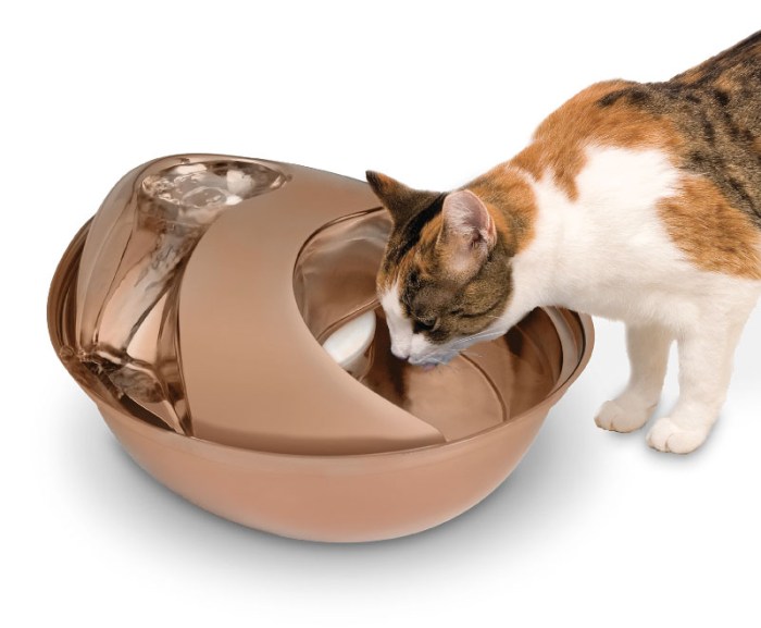 Pioneer Pet Raindrop Testing the Stainless Steel Circulating Water Fountain